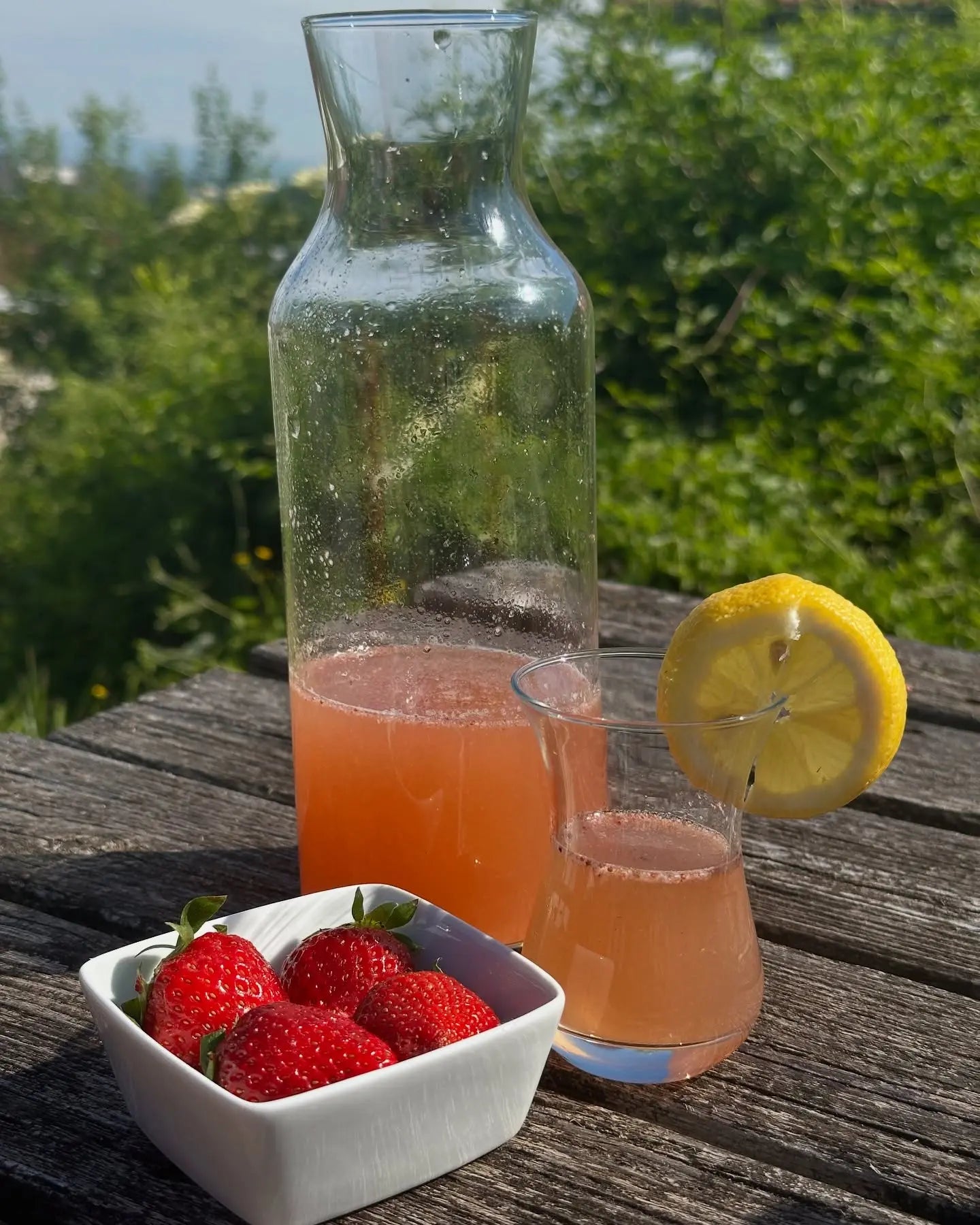 Pack Découverte Boissons - Toutes nos boissons naturelles Biobino